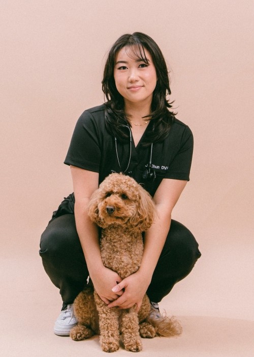 Juli Chun, DVM