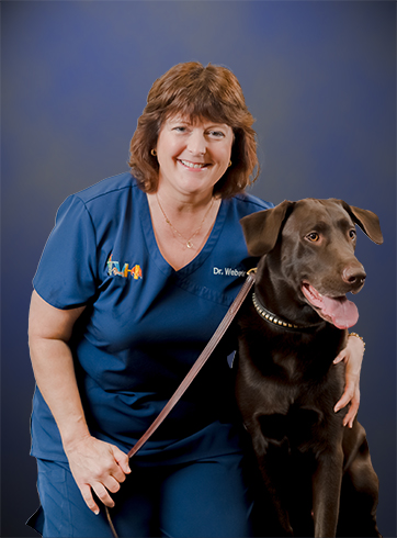 Melissa Webster, DVM