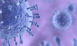 your pet could be at risk with canine influenza