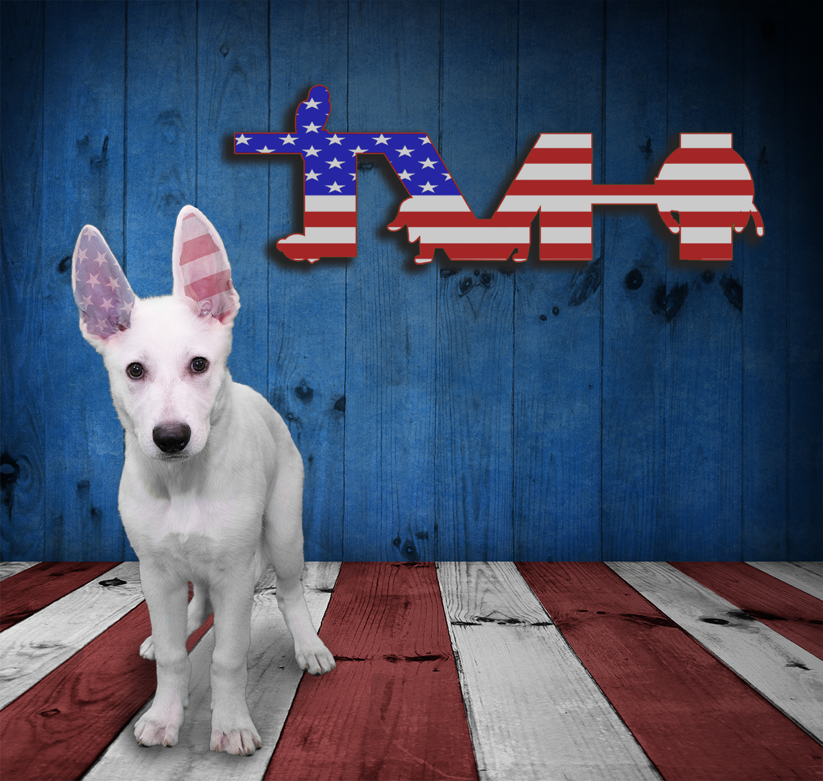 Memorial Day Pet Safety Tips