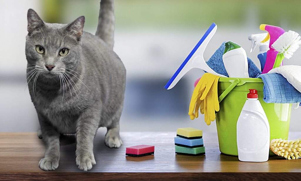 Petsafe coronavirus cleaners